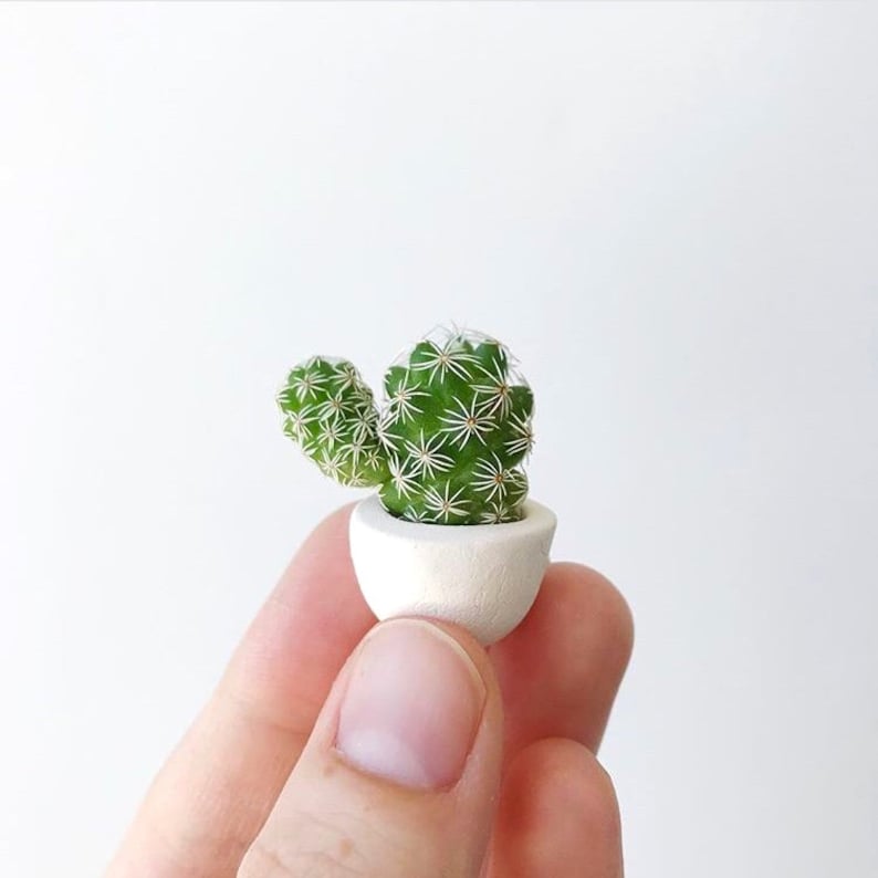 Mini Cactus Kit with Mini Planter Lino Mini Cactus Kit, Handmade Ceramic Planter, Mini Cactus, Cactus Plant, Cactus Planter, Planter image 8