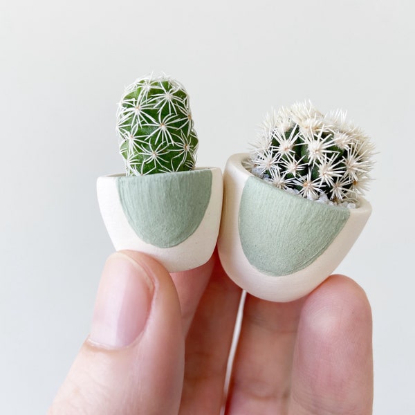 Mini Cactus and Green Circle Mini Planter - Lino Mini Cactus Kit, Handmade Ceramic Planter, Mini Cactus, Cactus Plant, Cactus Planter