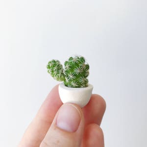 Mini Cactus Kit with Mini Planter Lino Mini Cactus Kit, Handmade Ceramic Planter, Mini Cactus, Cactus Plant, Cactus Planter, Planter White