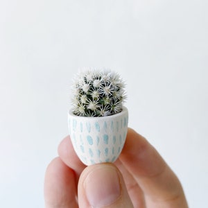 Candace Mini Cactus and Mini Planter, Handmade Ceramic Planter,  Tiny Cactus, Cactus Plant, Cactus Planter