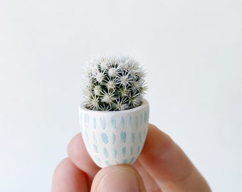 Candace Mini Cactus and Mini Planter, Handmade Ceramic Planter,  Tiny Cactus, Cactus Plant, Cactus Planter