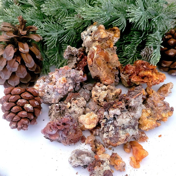 LIMITED! Sustainably Harvested, Raw, Natural Pinyon Pine Resin, Pine Pitch, Pinion, Pinus Edulis, Pine Sap, Natural Incense, Bushcraft