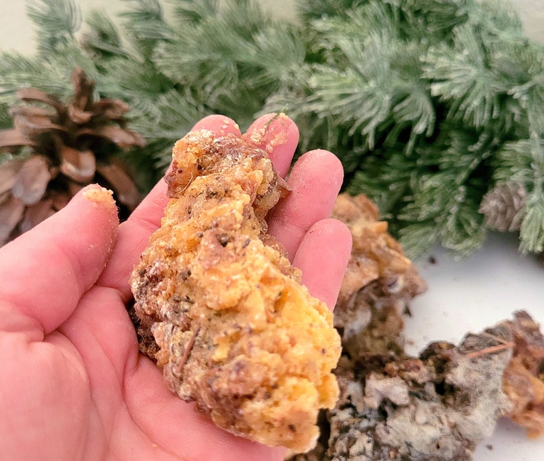 LIMITED Sustainably Harvested, Raw, Natural Pine Resin, Pine Pitch