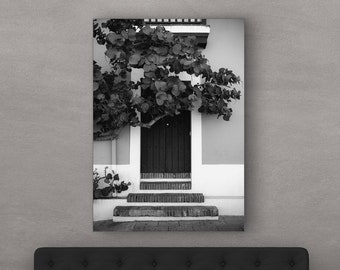 San Juan Door Wall Art PRINT - Puerto Rico Gift - Eucalyptus Tree Decor | Travel Photography by TheWorldExplored