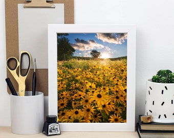 Backyard Beauty Wall Art PRINT - Yellow Wildflowers - Black Eyed Susans - Sunny Home Decor | Travel Photography by TheWorldExplored