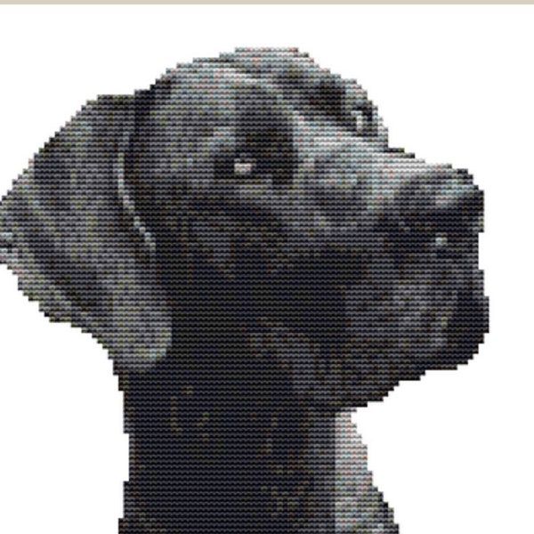 Cross Stitch Kit-GREAT DANE 17cm x 21cm 14  count