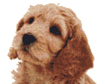 CROSS STITCH KIT - Cockerpoo 20cm x 21cm 14 count Full Kit