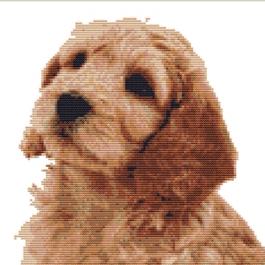 May include: A cross-stitch design depicting a dog's face in shades of gold and brown. The detailed pattern shows the dog's eyes and fur, with a textured appearance. The background is plain white, highlighting the dog's features.