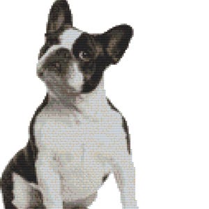 CROSS STITCH KIT- Boston terrier 16cm x 25 cm