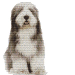 CROSS STITCH KIT- Bearded Collie  12cm x 21 cm 14 ct Full Kit