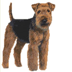 Cross Stitch PDF- LAKELAND TERRIER Finished size 21cm x 27cm