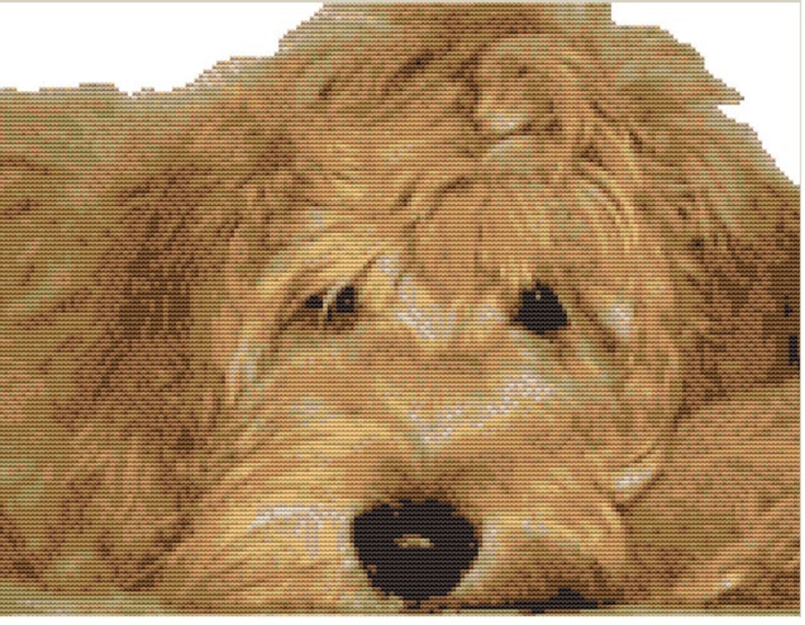 CROSS STITCH KIT Golden Labradoodle 32cm x 25cm | Etsy