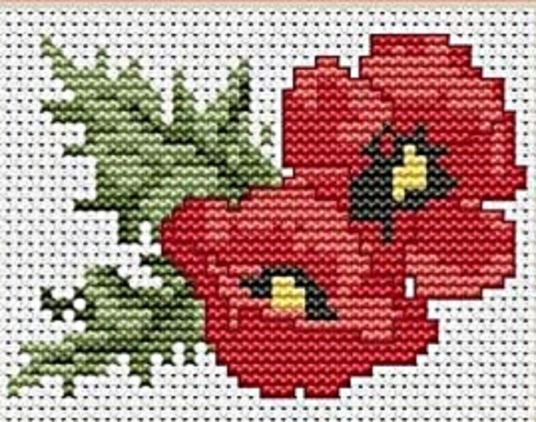 Luca-s Beginner Cross Stitch Mini Kit-poppies 9cm X 6.5cm - Etsy UK