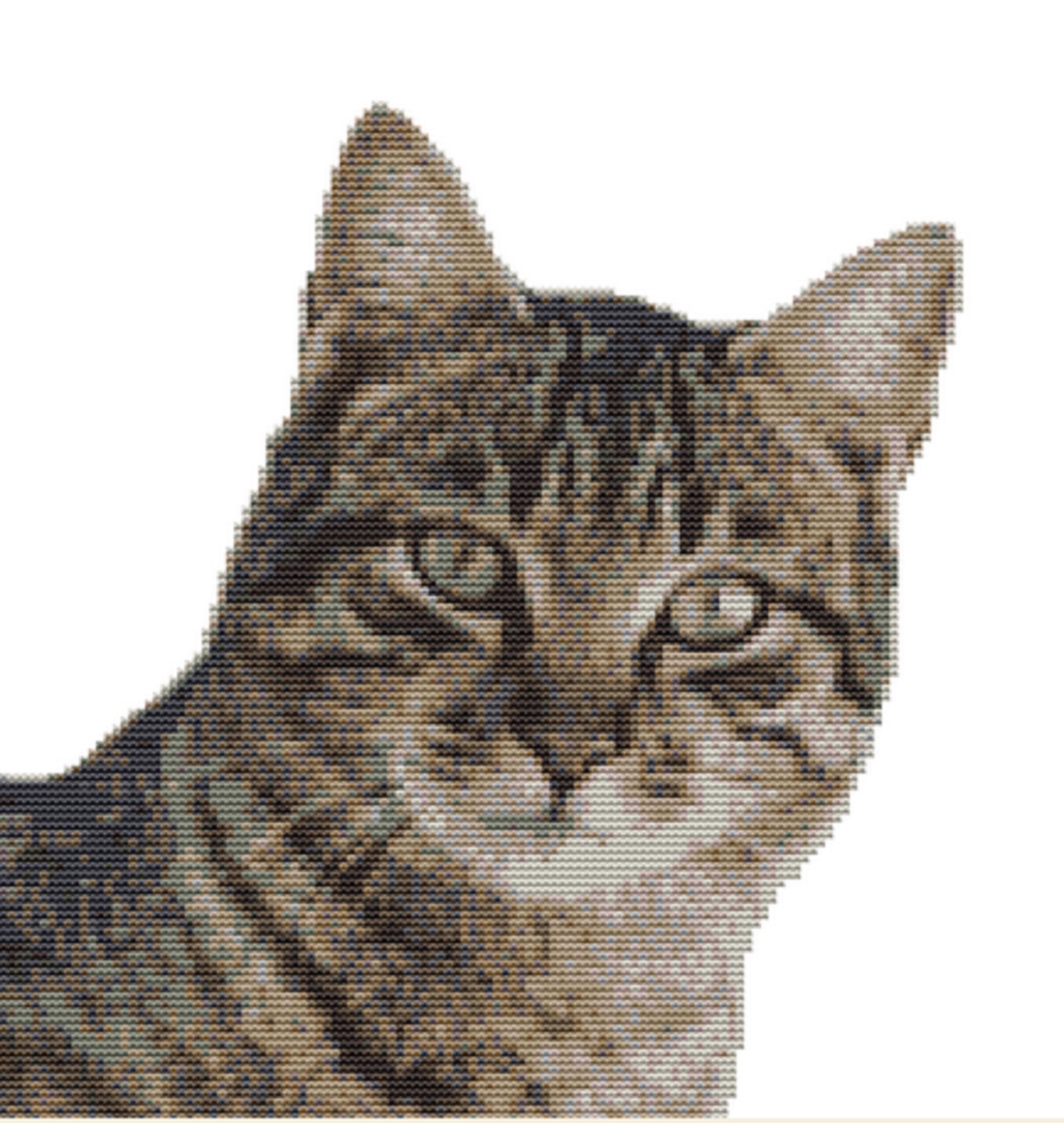 海外並行輸入正規品 Tabby Etsy - Kit Stitch Cross Cat Tシャツ(半袖/袖なし)