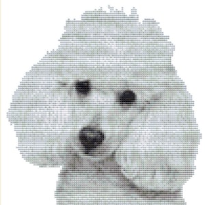 CROSS STITCH KIT- White Poodle 18cm x 20 cm 14 count Complete Kit