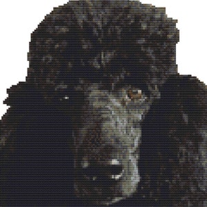 CROSS STITCH PDF -Black Poodle finished size 22cm 23cm 14count