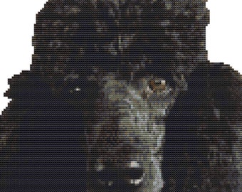CROSS STITCH PDF -Black Poodle finished size 22cm 23cm 14count