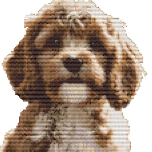 Peut inclure: Portrait en point de croix d'un chien, avec des tons bruns et crème. Le visage du chien est mis en évidence, avec son nez, ses yeux et la texture de sa fourrure. Le fond est blanc.