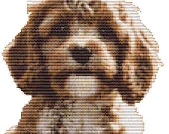 CROSS STITCH KIT - Cavapoo 20cm x 22cm Full kit 14 Count