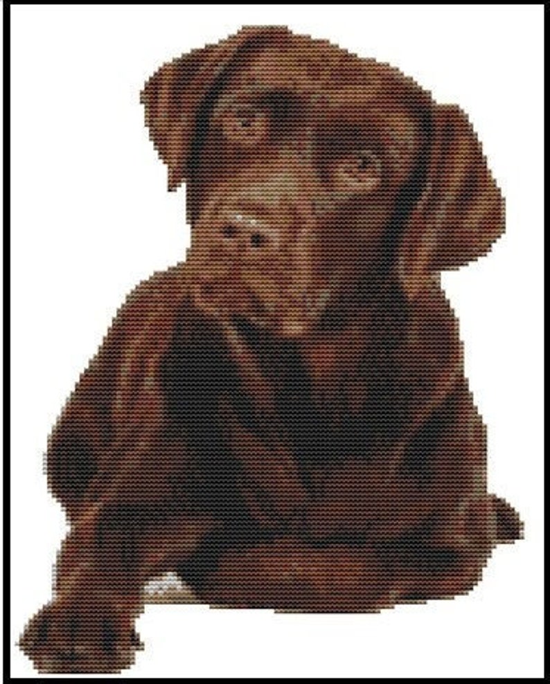 May include: A cross-stitch design featuring a chocolate Labrador Retriever. The dog is shown seated, with its head angled downwards. The image uses a range of brown and black hues, giving a detailed, textured effect, typical of cross-stitch.