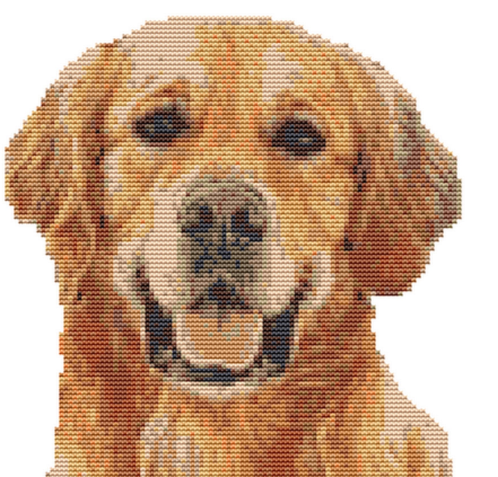 CROSS STITCH KIT Golden Retriever 18cm X 18 Cm Etsy