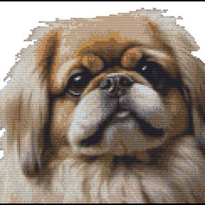 CROSS STITCH KIT - Pekinese dog 25cm x21cm Full Kit