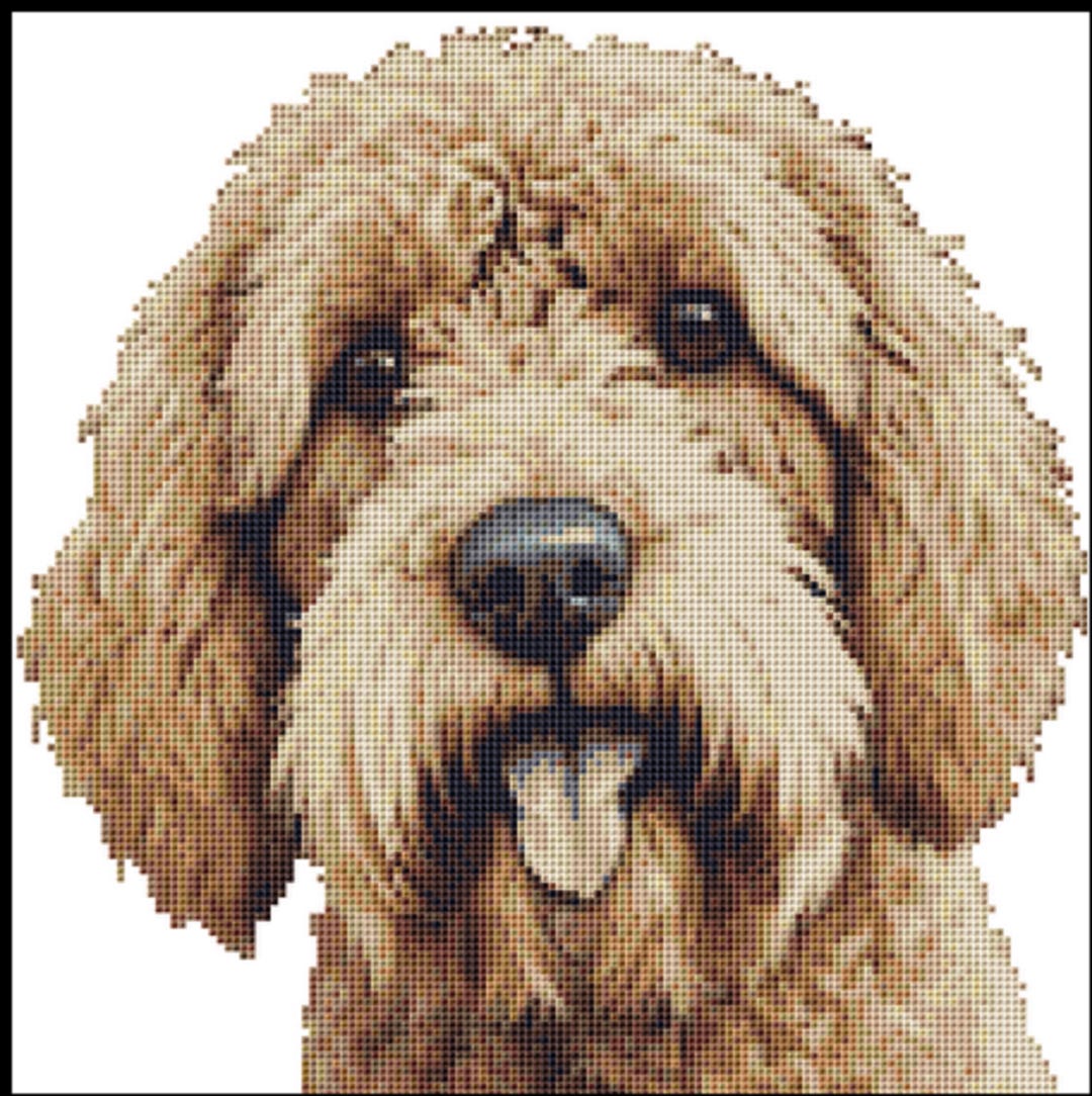 Labradoodle Cross Stitch Kit: 25cm X 25cm Counted Aida Pattern - Etsy