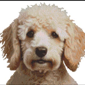 May include: A cross-stitch depiction of a light brown dog with dark eyes and a black nose. The dog's fur is rendered in shades of brown and beige, giving a textured effect. The image is set against a plain white background.