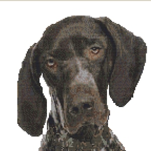CROSS STITCH PDF- German Pointer finished size 22cm x 23cm Digital file only