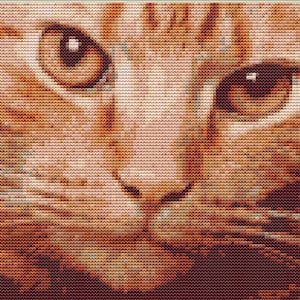 CROSS STITCH KIT- Ginger Cat 26cm x 17cm