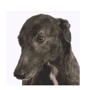 May include: A monochrome portrait of a dog, possibly a Greyhound, set against a white backdrop. The dog's dark coat is set against the white, accentuating its features. The dog's head is turned to the side, with a focused expression.