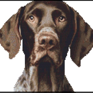 Może przedstawiać: Szczegółowy portret psa wykonany ściegiem krzyżykowym. Pies ma brązowe futro, jaśniejszy pysk i duże, wyraziste oczy. Obraz jest oprawiony w czarną ramę, która podkreśla detale.