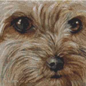 Cross Stitch Kit - Yorkie face 25cm x 20cm 14 count