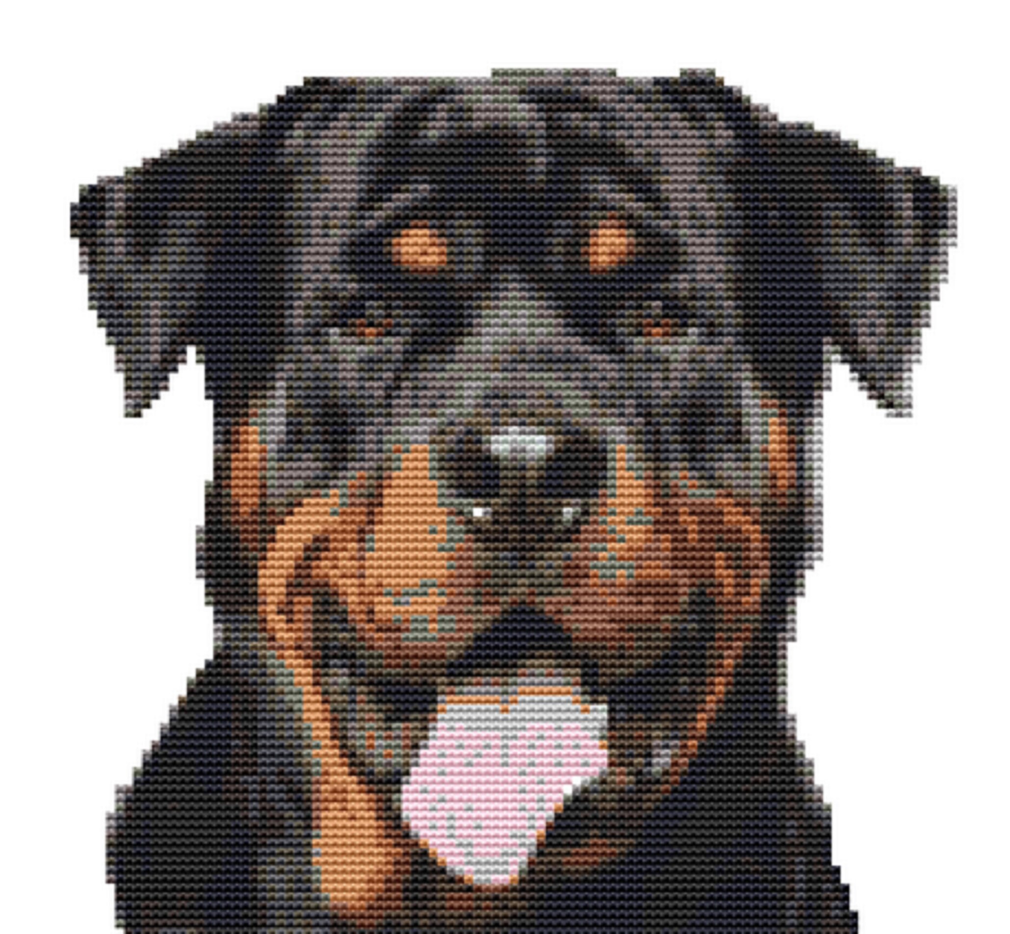 CROSS STITCH KIT Rottweiler 17cm X 17 Cm Full Kit or Chart Etsy