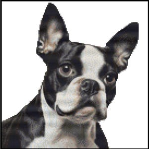 CROSS STITCH KIT - Boston terrier 23cm x 24cm Full Kit