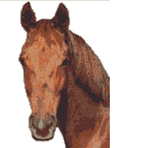 CROSS STITCH KIT - Horse 16cm x 26cm 14 count Full Kit