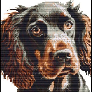 Könnte beinhalten: Pixeliges Porträt eines Hundes, wahrscheinlich eines Gordon Setters, mit schwarzem und braunem Fell. Die Augen des Hundes sind braun, und das Bild ist vor einem weißen Hintergrund. Das Kunstwerk ist eine Nahaufnahme, die sich auf das Gesicht des Hundes konzentriert.