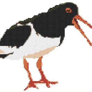 Può includere: Illustrazione pixelata di un uccello, probabilmente un beccaccia di mare, con colori nero, bianco e arancione. L'uccello ha un lungo becco arancione e zampe arancioni. Il corpo dell'uccello è principalmente nero e bianco, con un design pixelato dettagliato.