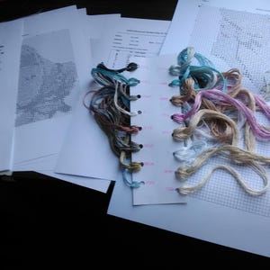 May include: Cross-stitch materials including coloured embroidery threads, a perforated pattern, and instruction sheets. The threads are in shades of blue, brown, pink, and cream. The items are arranged on a white surface, ideal for craft projects.