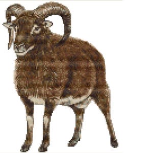 Könnte beinhalten: Kreuzstich-Bild eines Widders, in Braun- und Beigetönen gehalten. Der Widder hat große, gebogene Hörner und wird stehend dargestellt. Die detaillierte Stickerei erzeugt ein strukturiertes Aussehen und zeigt das Fell und die Merkmale des Tieres.