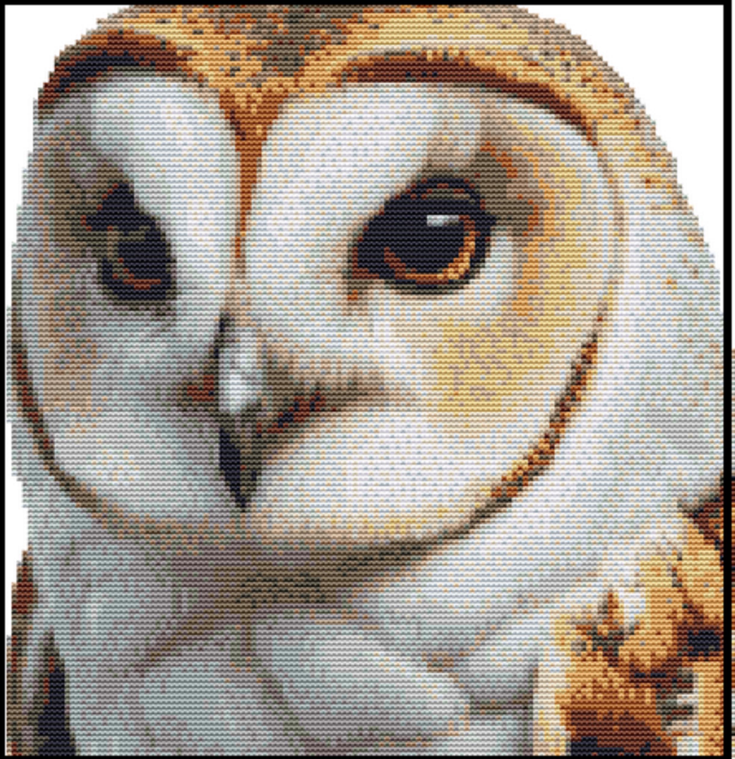 CROSS STITCH KIT - Barn Owl 25cm x 26cm Full Kit