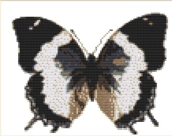 CROSS STITCH KIT- Tropical Butterfly 20cm x 15 cm