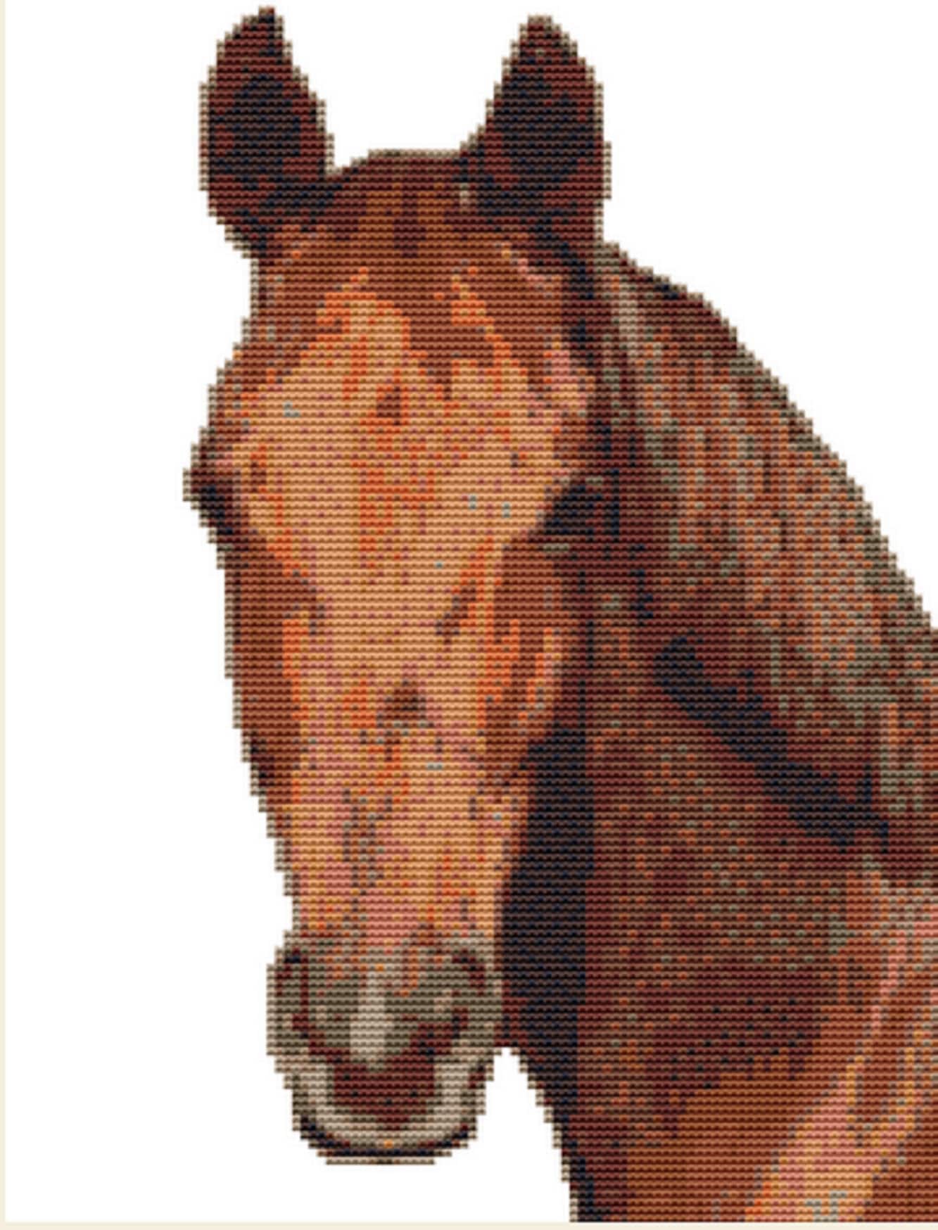 CROSS STITCH KIT - Horse 16cm X 26cm 14 Count Full Kit - Etsy