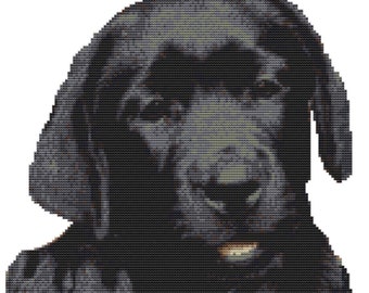 CROSS STITCH KIT- Black Lab puppy 24cm x 25 cm