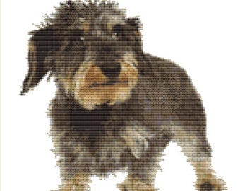 CROSS STITCH KIT - wire haired dachshund 23CM X 24CM 14 Count