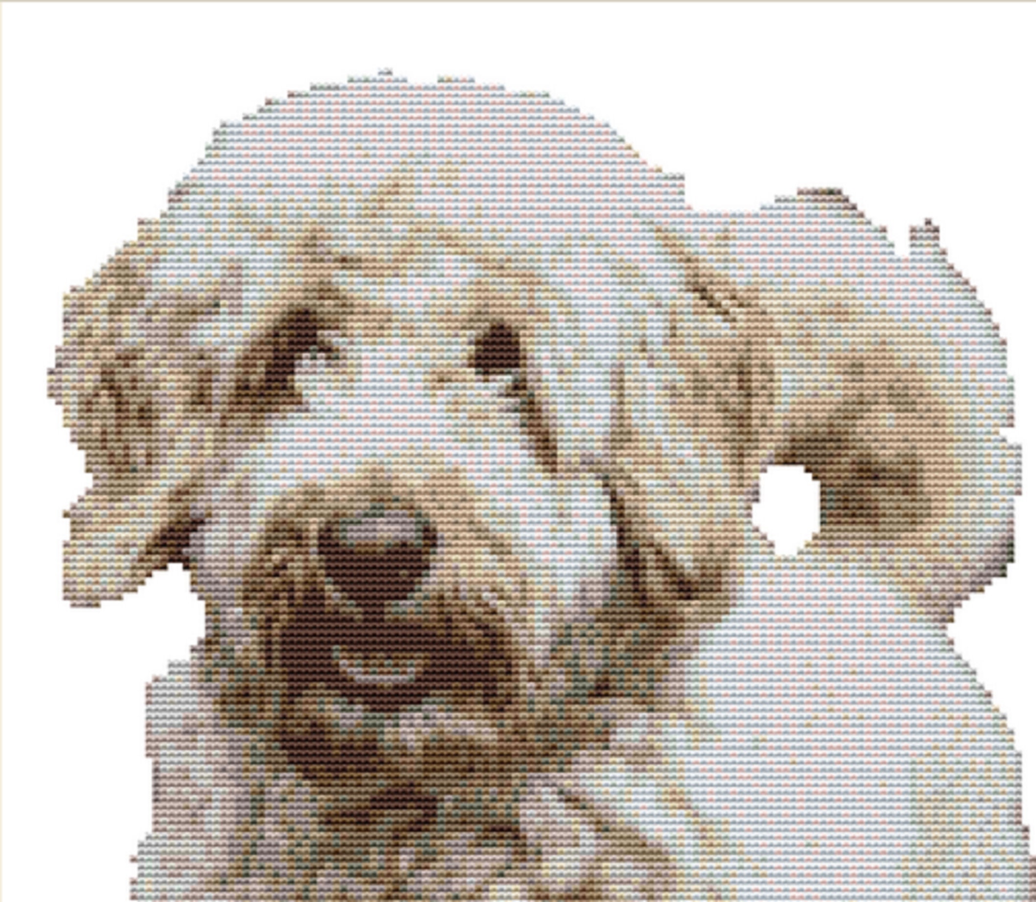 CROSS STITCH KIT Labradoodle 23cm X 20 Cm 14 Count - Etsy