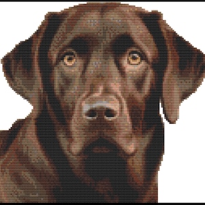 May include: A cross-stitch depiction of a chocolate Labrador Retriever. The dog's fur is a mix of brown and black threads, with amber eyes and a black nose. The image is framed with a black border.