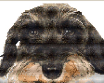 CROSS STITCH KIT-Wire Haired dachshund 14 Count Full Kit or Chart only
