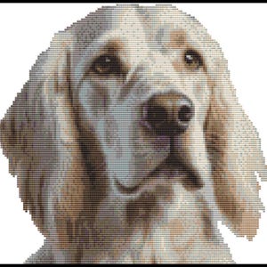 English Setter Cross Stitch Kit: Dog Portrait (23cm)