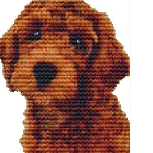 May include: A cross-stitch design depicting a golden doodle dog's face. The dog has dark eyes and a black nose. The fur is a mix of brown and orange hues, with a textured appearance. The background is white.